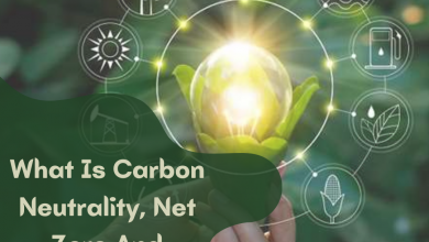 What Is Carbon Neutrality, Net Zero and Climate Neutral - My Geek Score