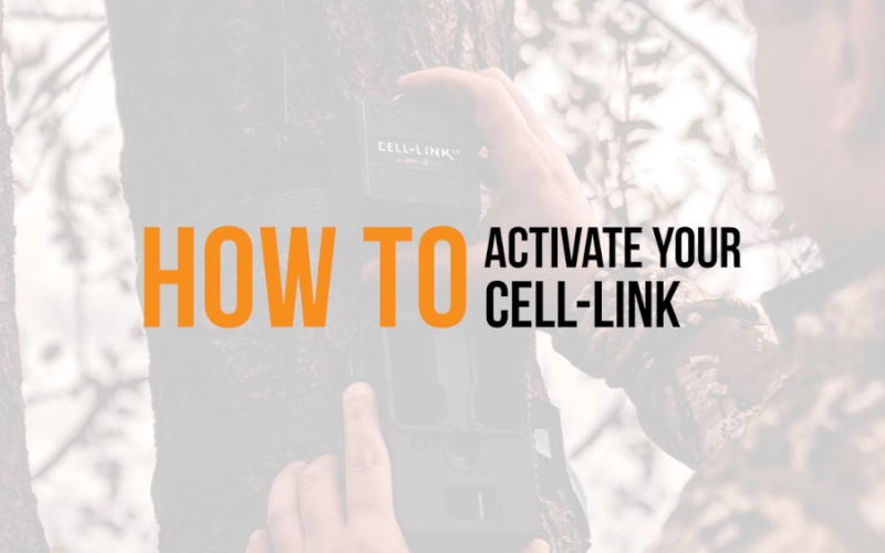 activate-spypoint-cell-link-universal-cellular